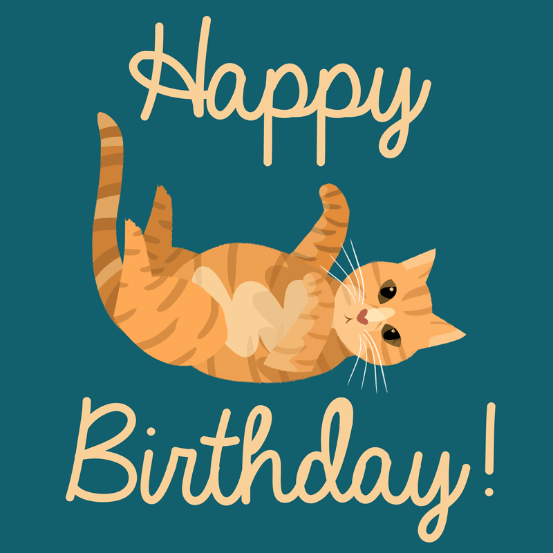 Happy-Birthday-Cat-Image.gif