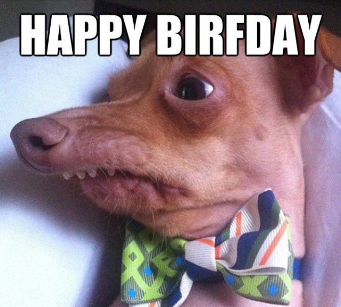 30 Most Funny Birthday Wishes Photos